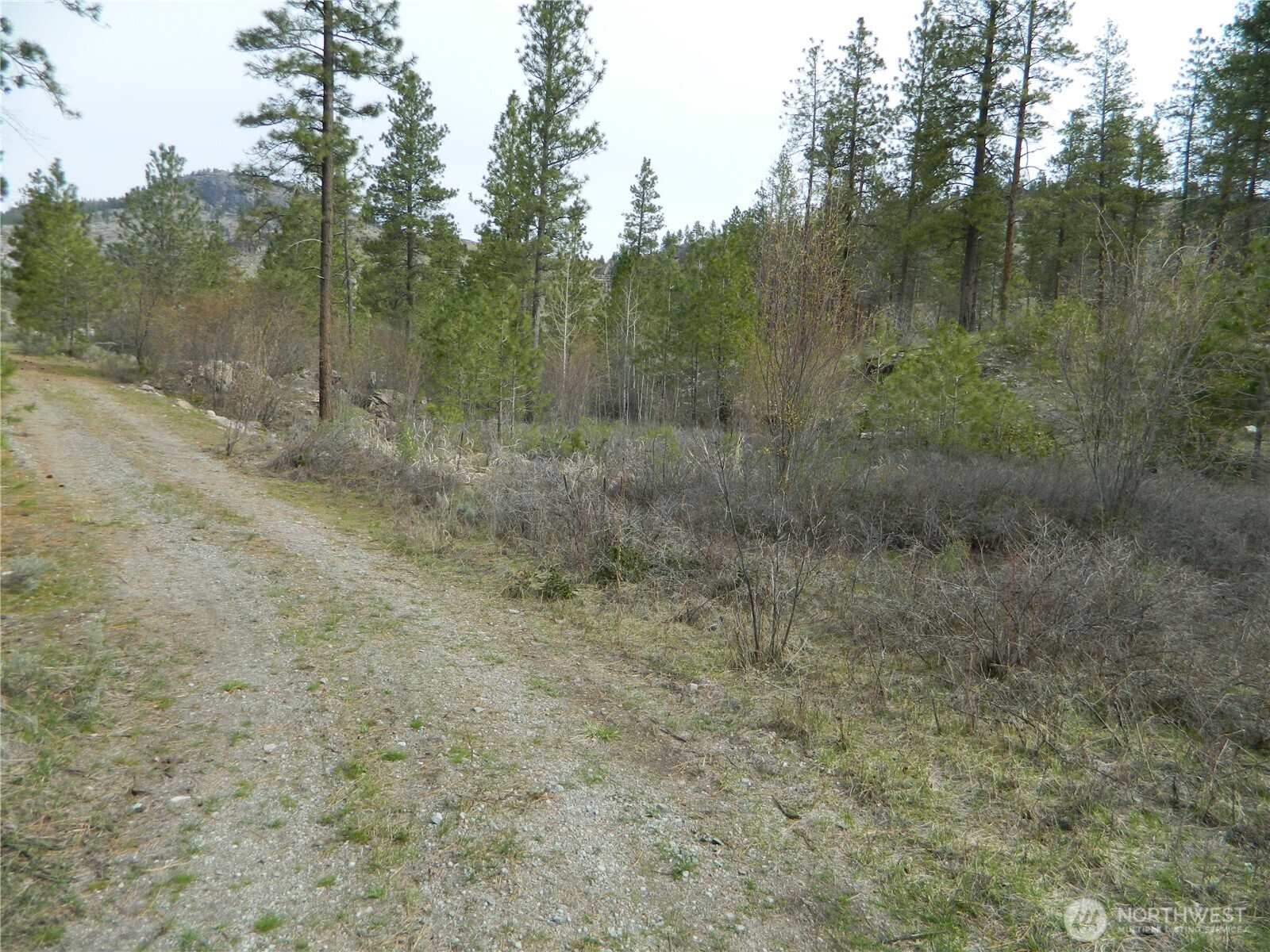 357 Swanson Mill Road , Tonasket, WA 98855