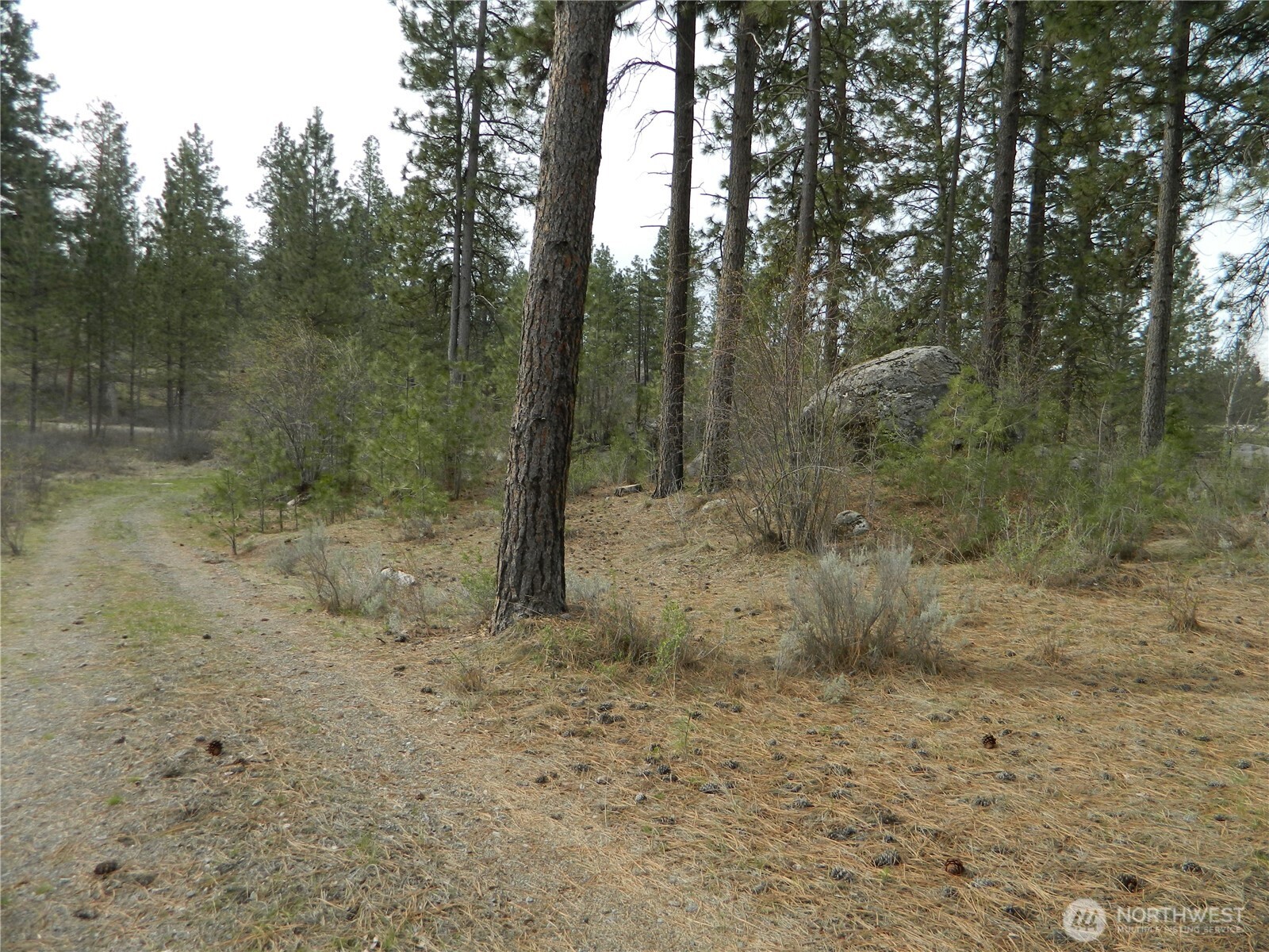 357 Swanson Mill Road , Tonasket, WA 98855
