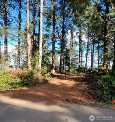 762 Chenois Avenue NE, Ocean Shores, WA 98569 - Photo 1