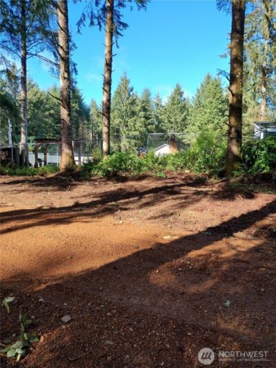 762 Chenois Avenue NE, Ocean Shores, WA 98569 - Photo 2