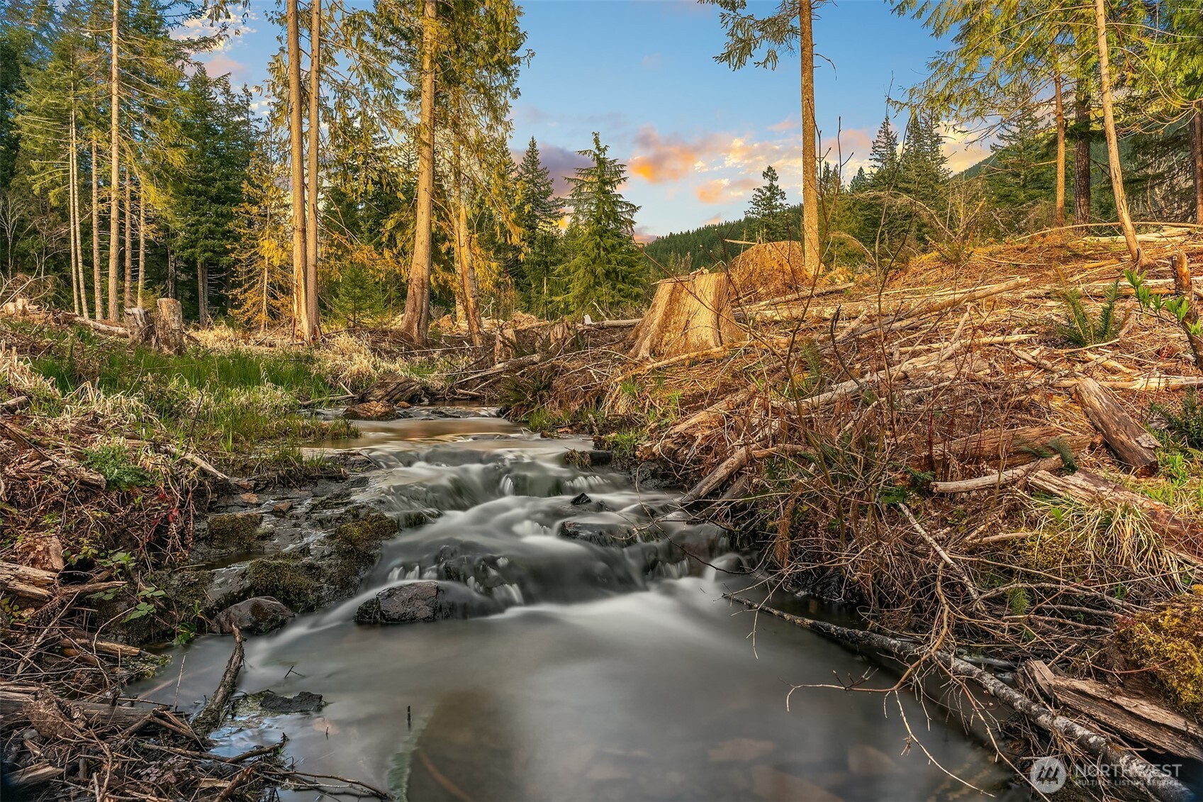 118 Burl Lane , Packwood, WA 98361