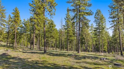 0 XXX Flying M , Cle Elum, WA 98922