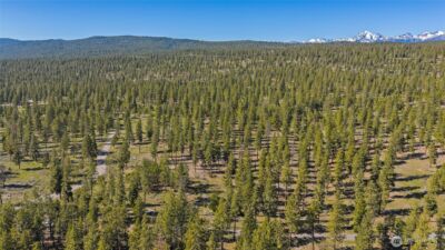 0 XXX Flying M , Cle Elum, WA 98922 - Photo 13