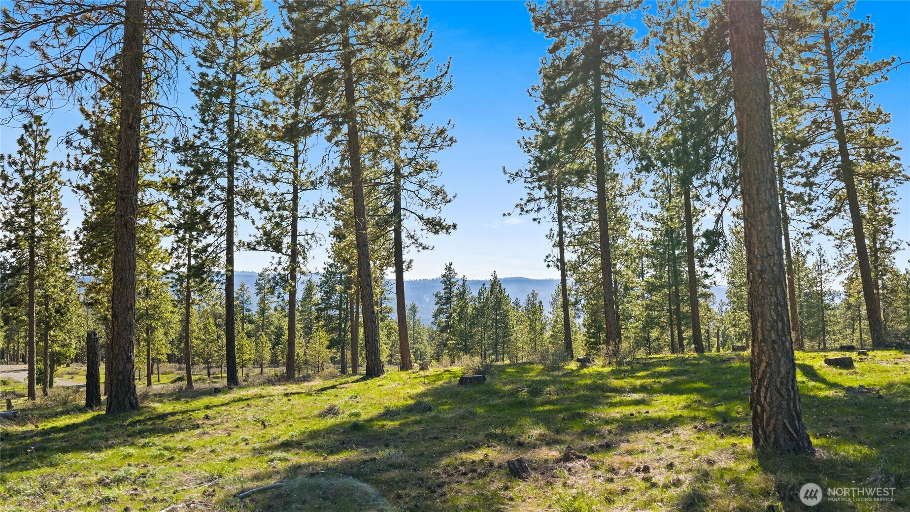 0 XXX Flying M , Cle Elum, WA 98922