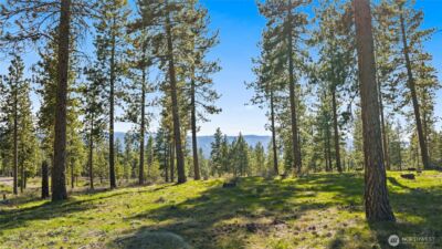 0 XXX Flying M , Cle Elum, WA 98922 - Photo 3