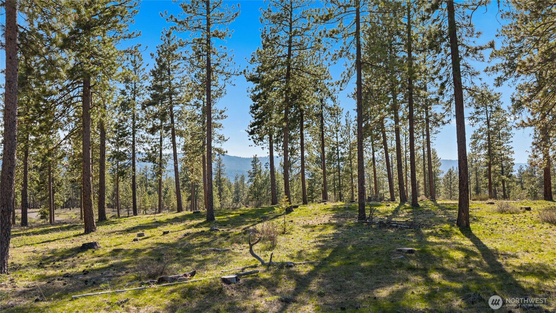0 XXX Flying M , Cle Elum, WA 98922