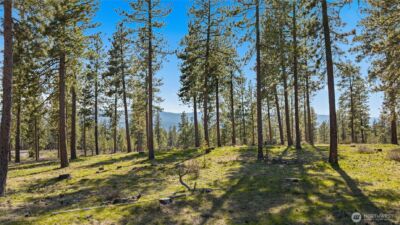 0 XXX Flying M , Cle Elum, WA 98922 - Photo 6