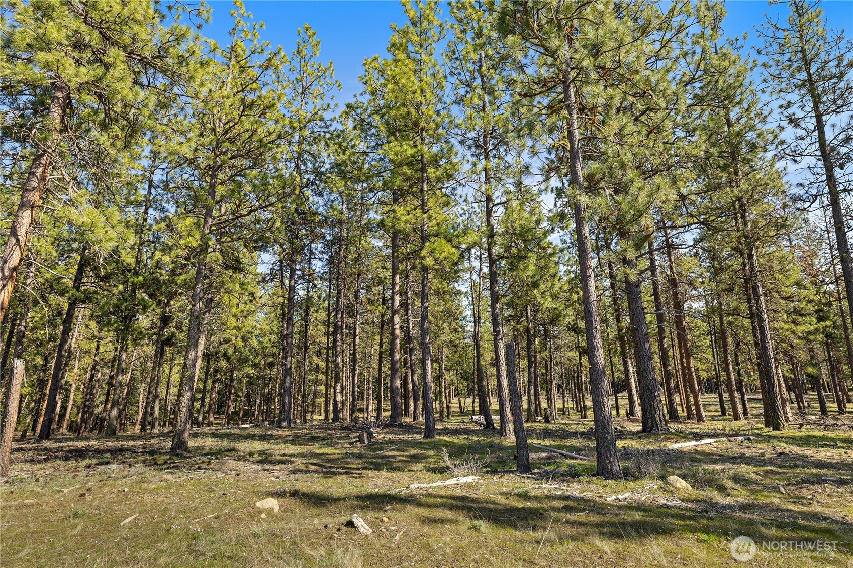 0 XXX Flying M , Cle Elum, WA 98922