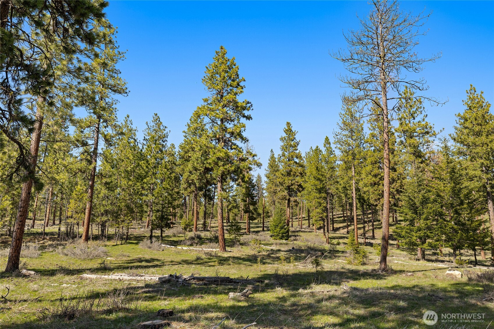 0 XXX Flying M , Cle Elum, WA 98922