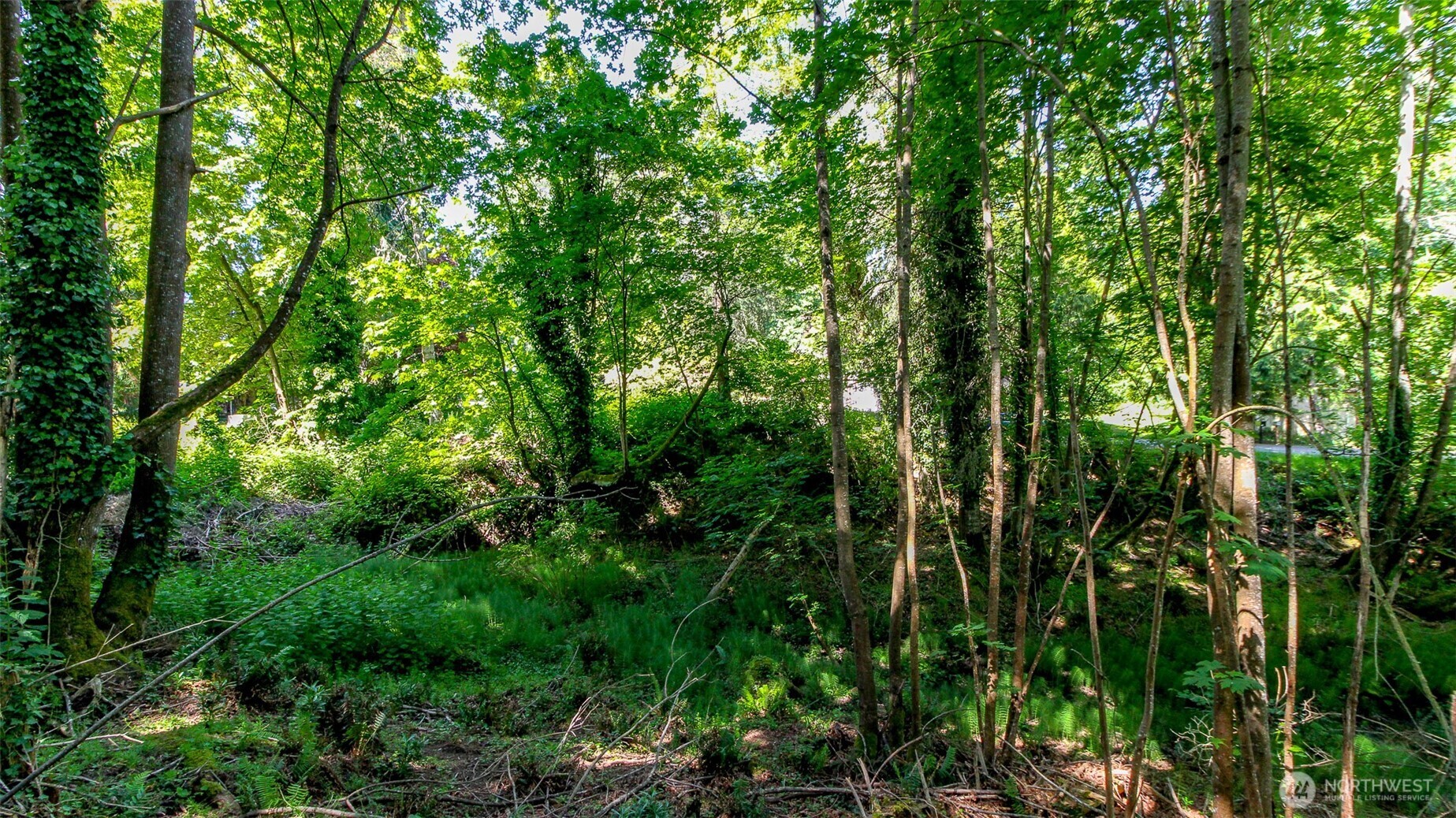 44 Raft Island Drive NW, Gig Harbor, WA 98335