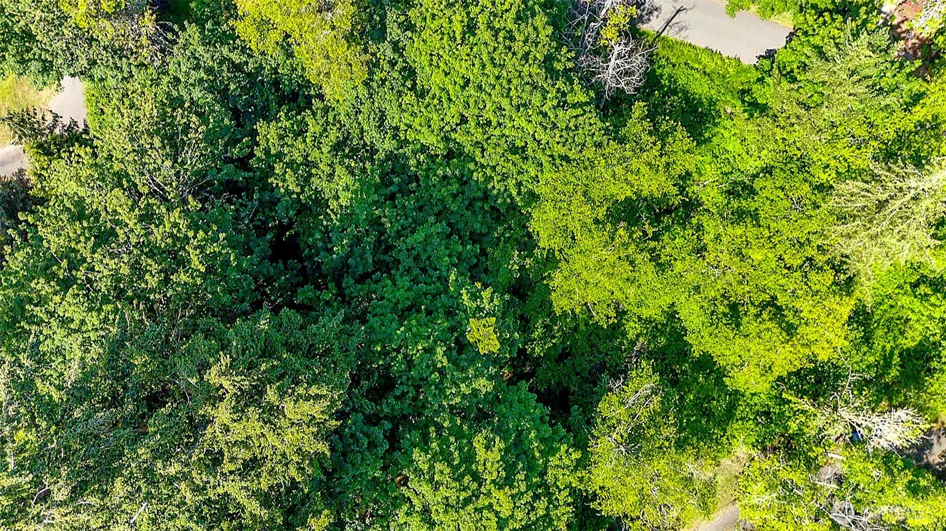44 Raft Island Drive NW, Gig Harbor, WA 98335
