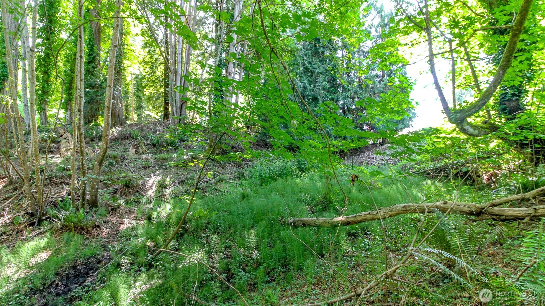 44 Raft Island Drive NW, Gig Harbor, WA 98335