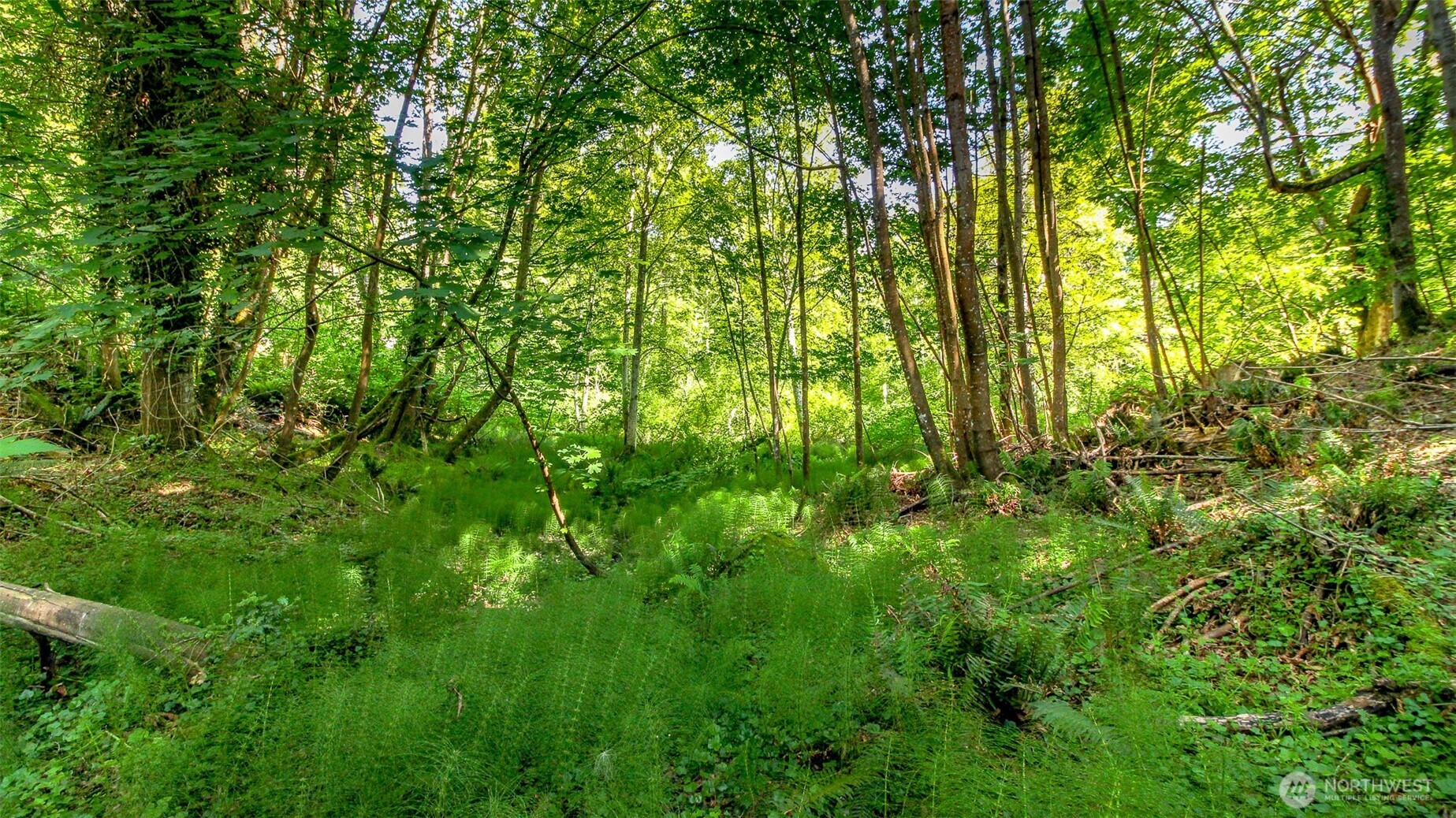 44 Raft Island Drive NW, Gig Harbor, WA 98335