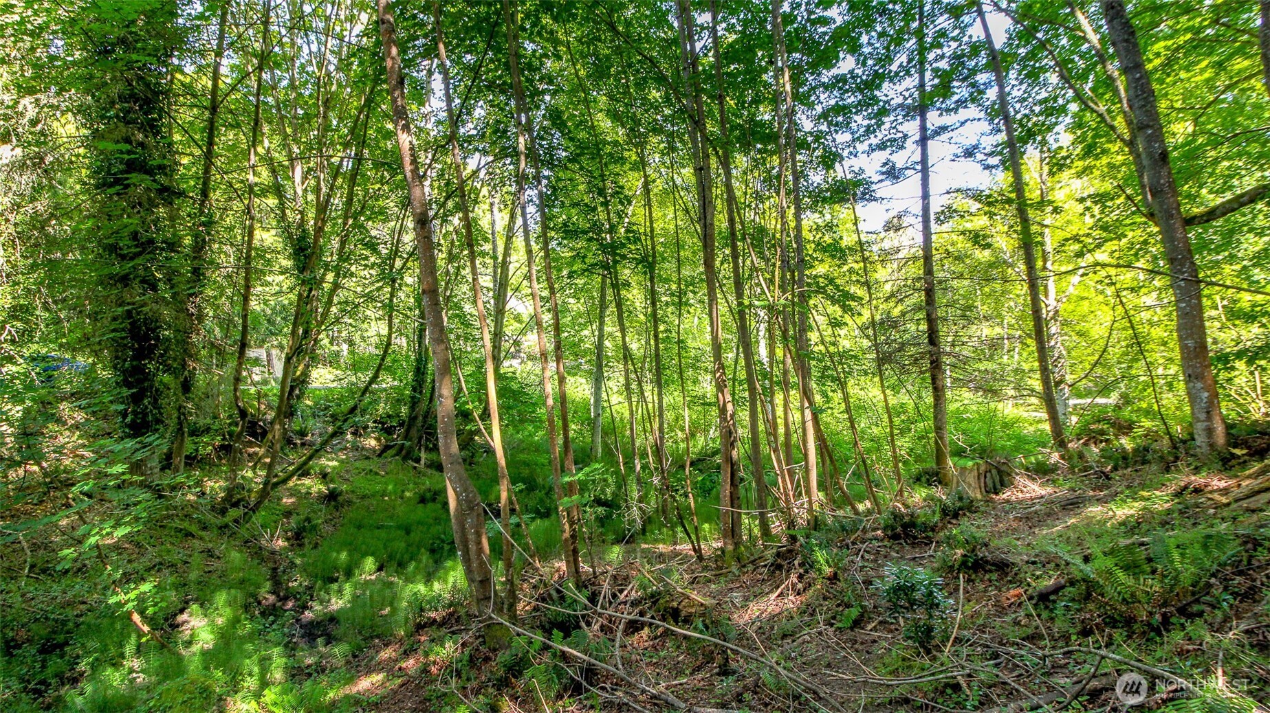 44 Raft Island Drive NW, Gig Harbor, WA 98335