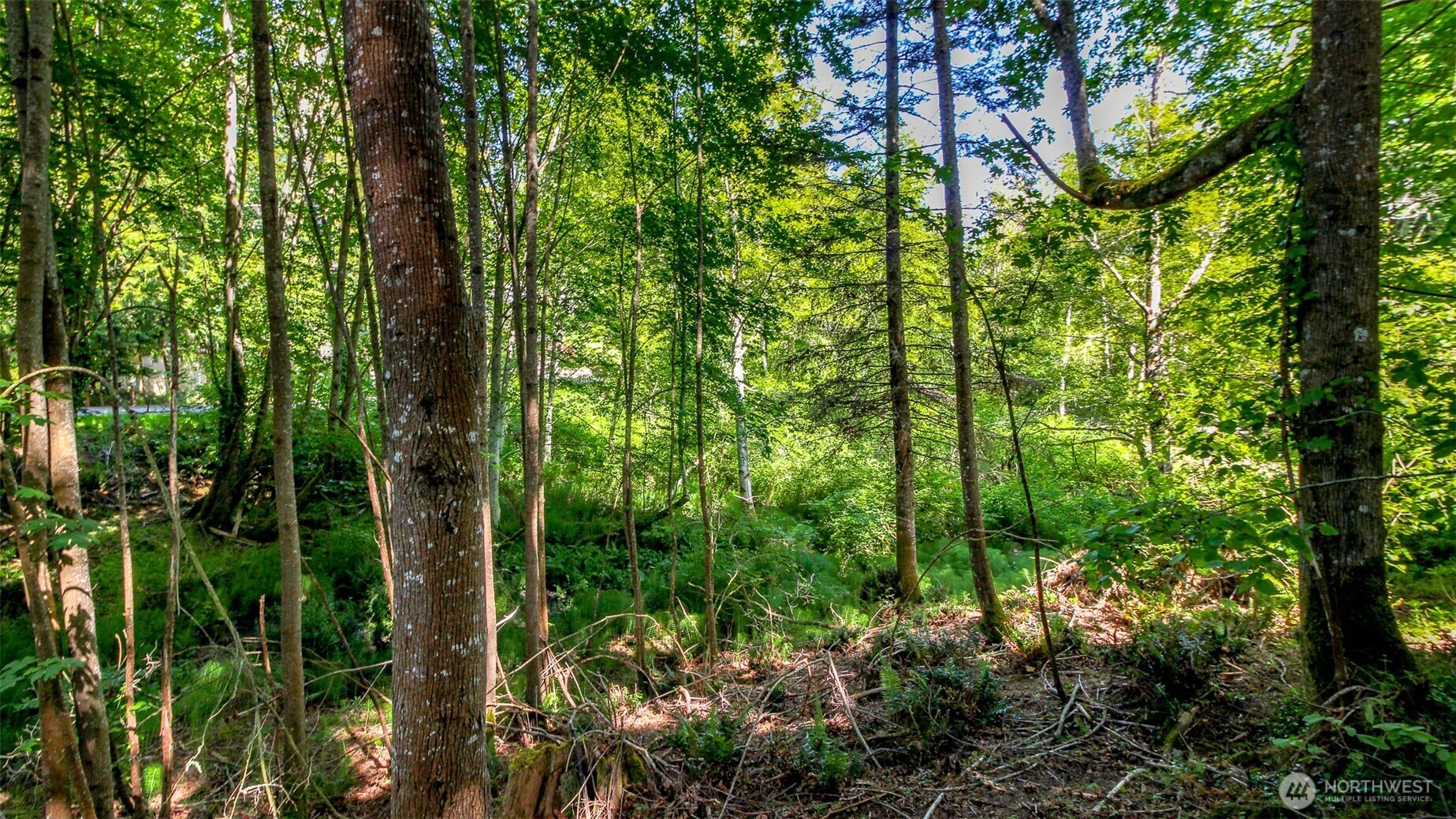 44 Raft Island Drive NW, Gig Harbor, WA 98335