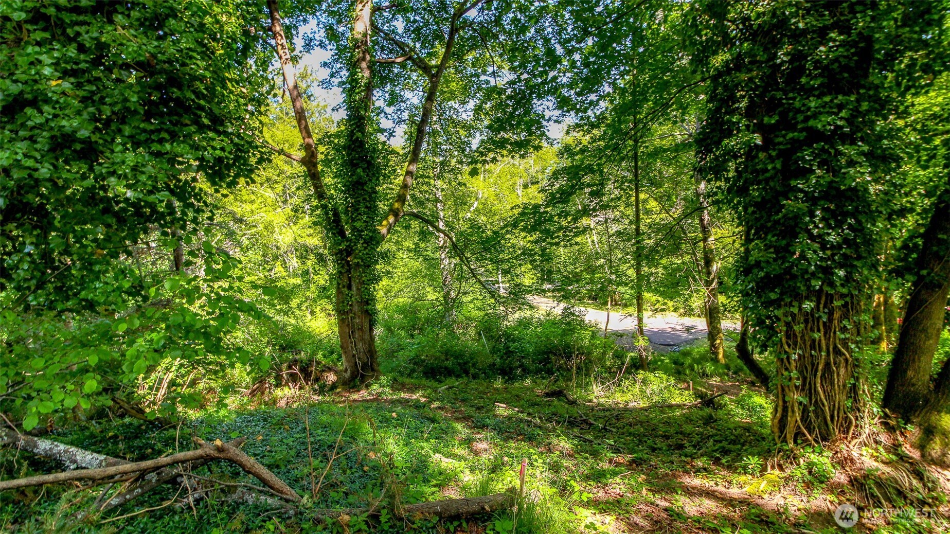 44 Raft Island Drive NW, Gig Harbor, WA 98335
