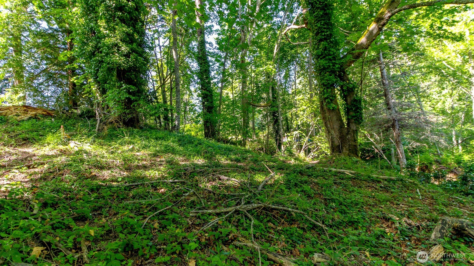 44 Raft Island Drive NW, Gig Harbor, WA 98335