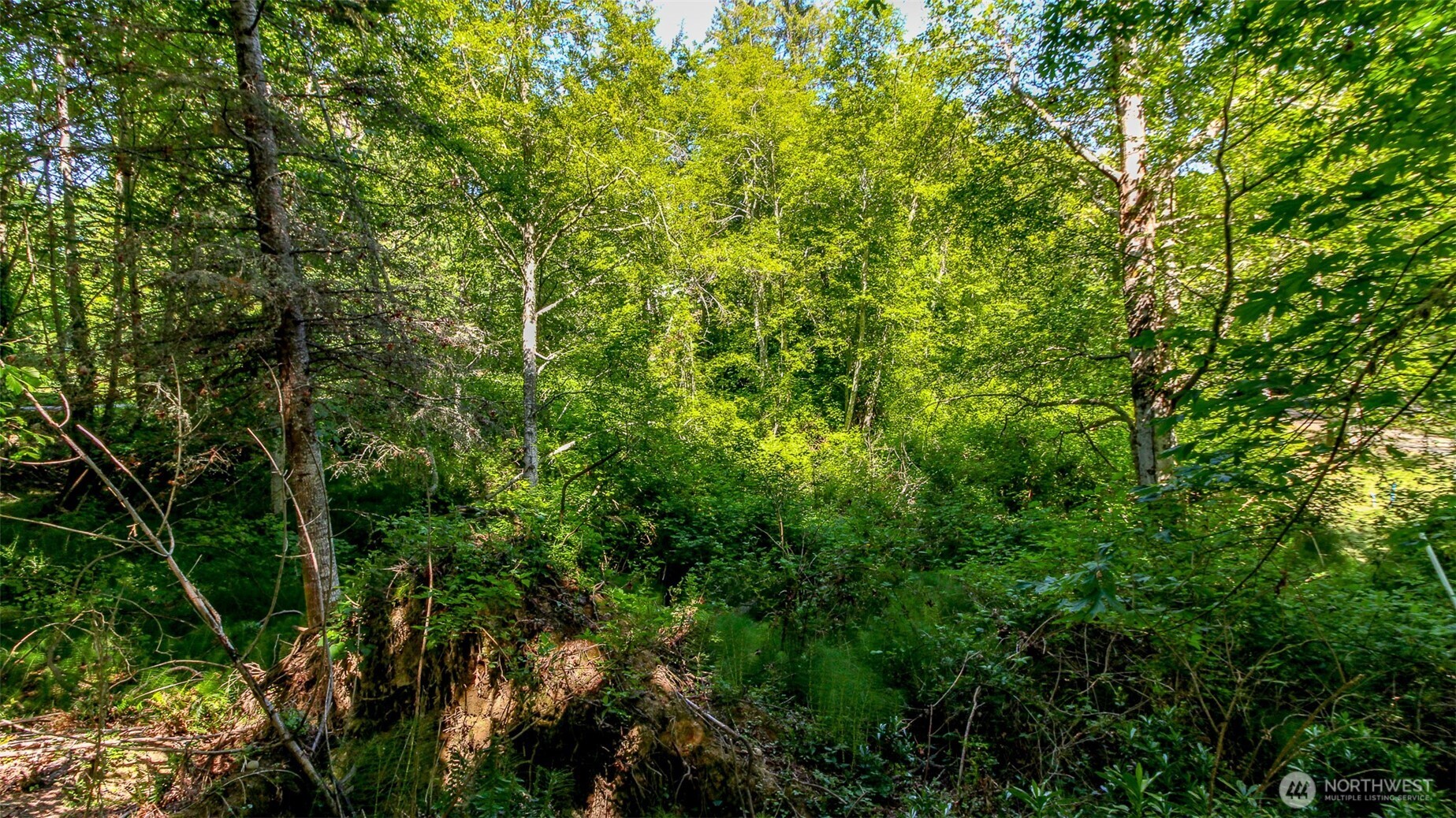 44 Raft Island Drive NW, Gig Harbor, WA 98335