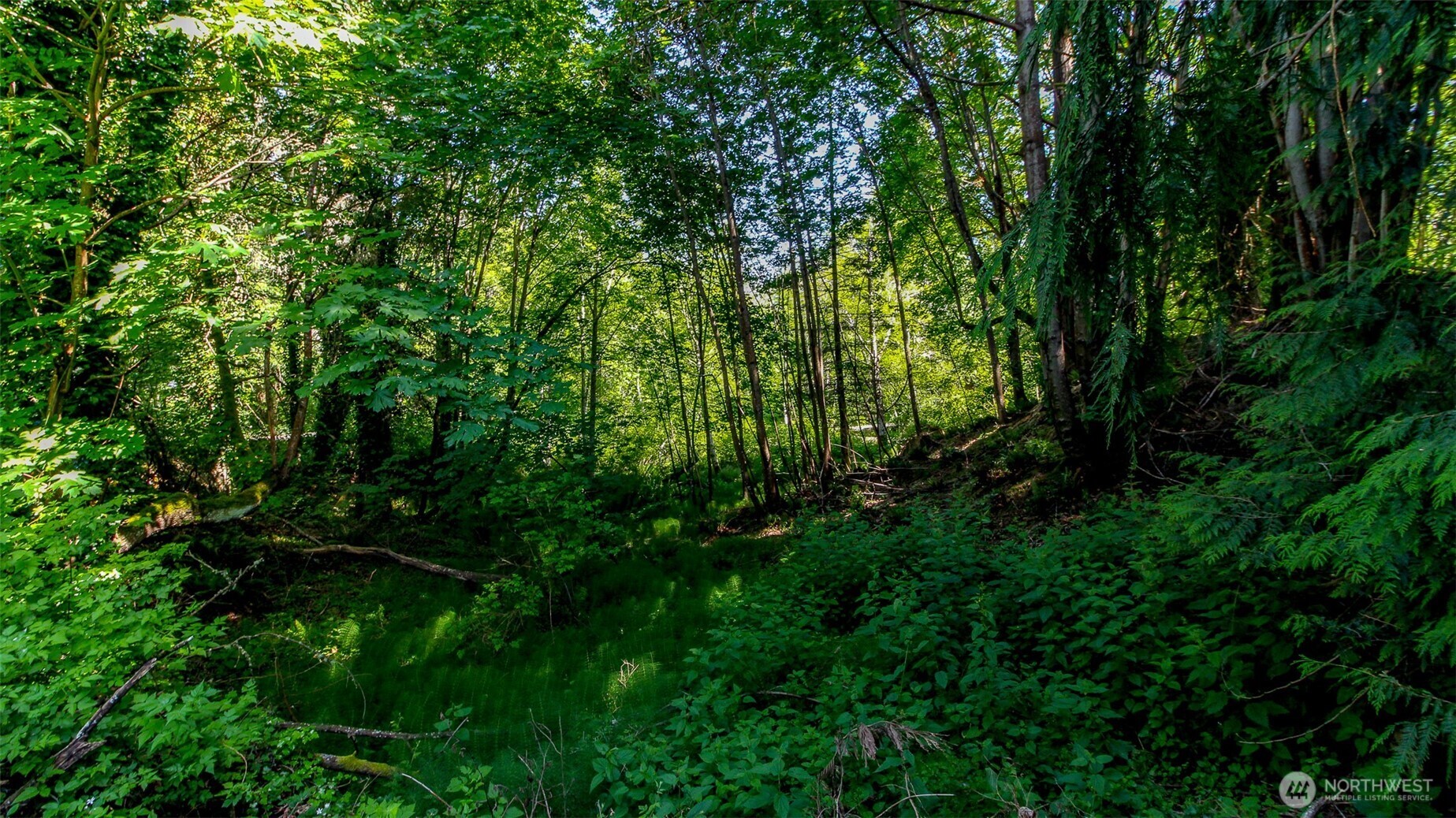 44 Raft Island Drive NW, Gig Harbor, WA 98335