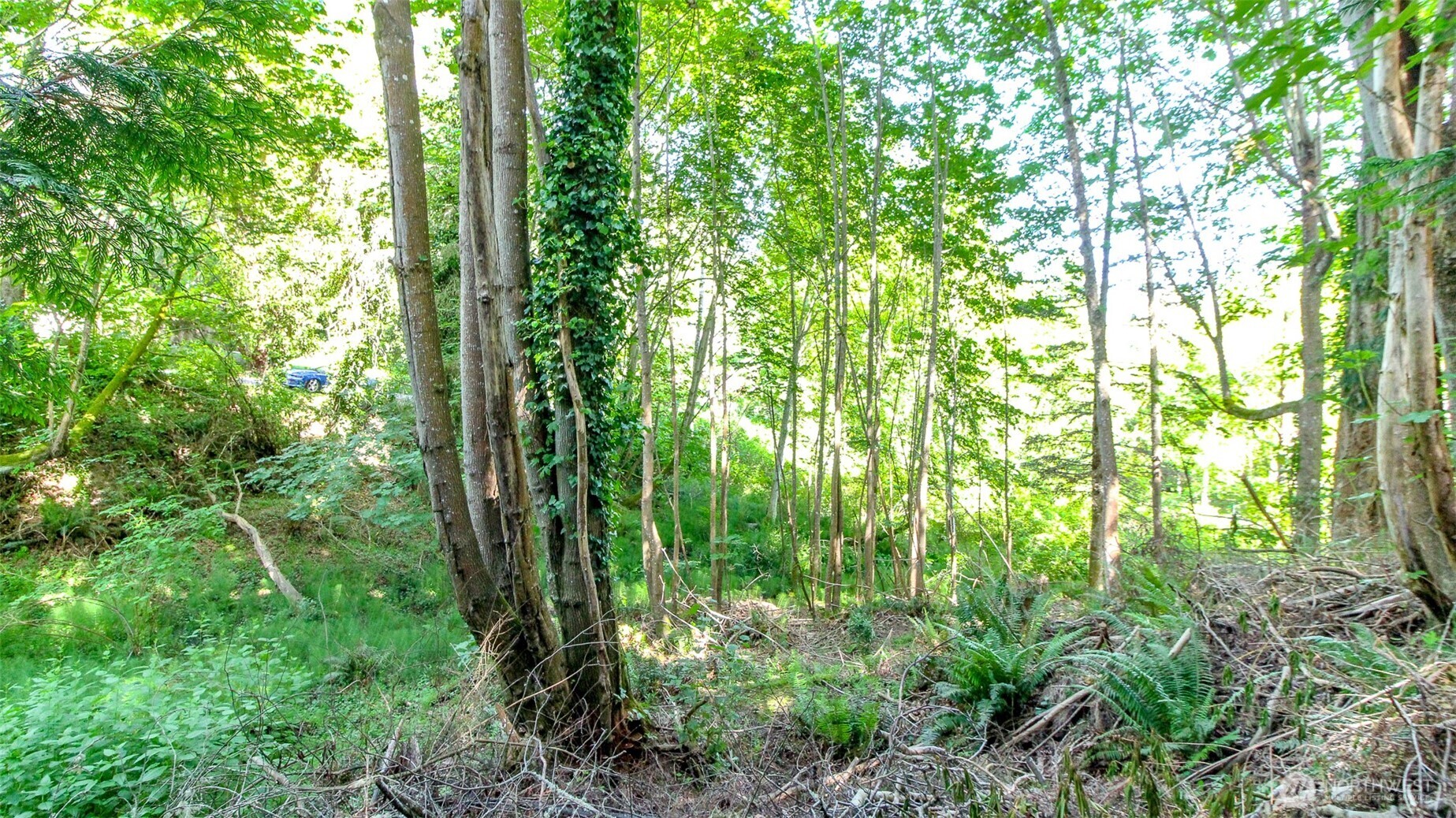 44 Raft Island Drive NW, Gig Harbor, WA 98335