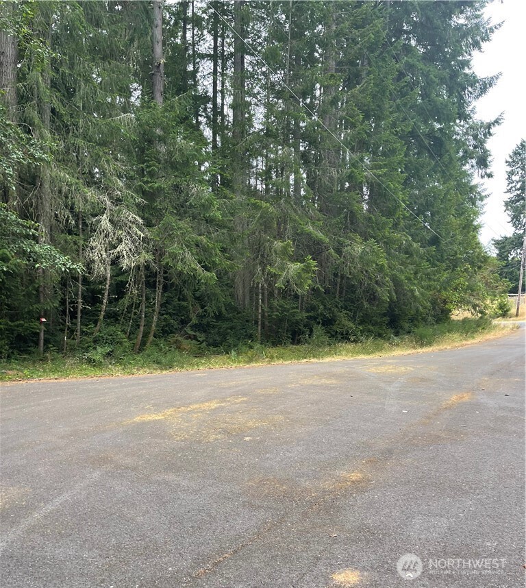 12514 93rd Street Ct , Anderson Island, WA 98303