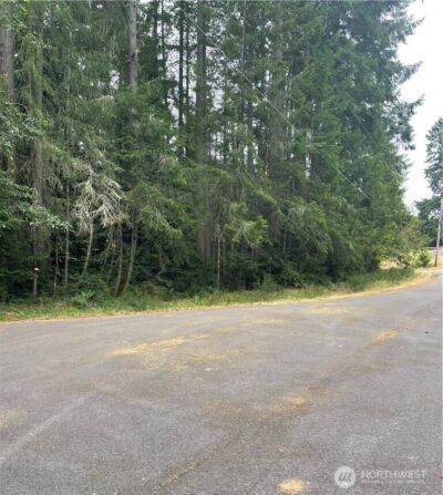 12514 93rd Street Ct , Anderson Island, WA 98303