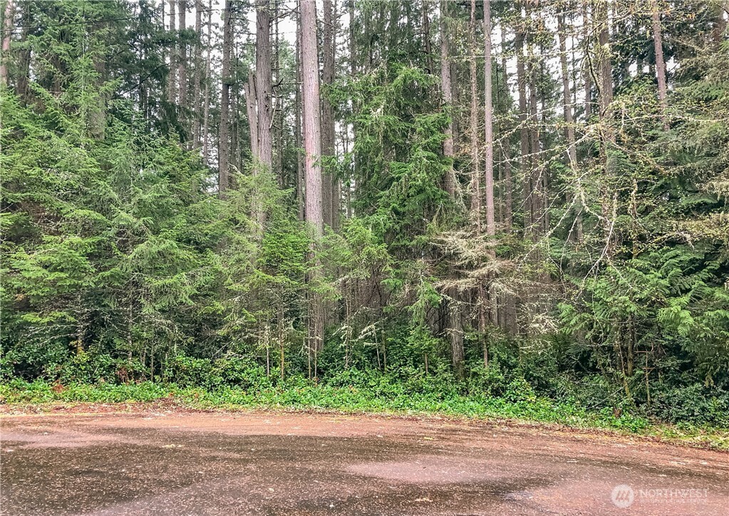 12514 93rd Street Ct , Anderson Island, WA 98303