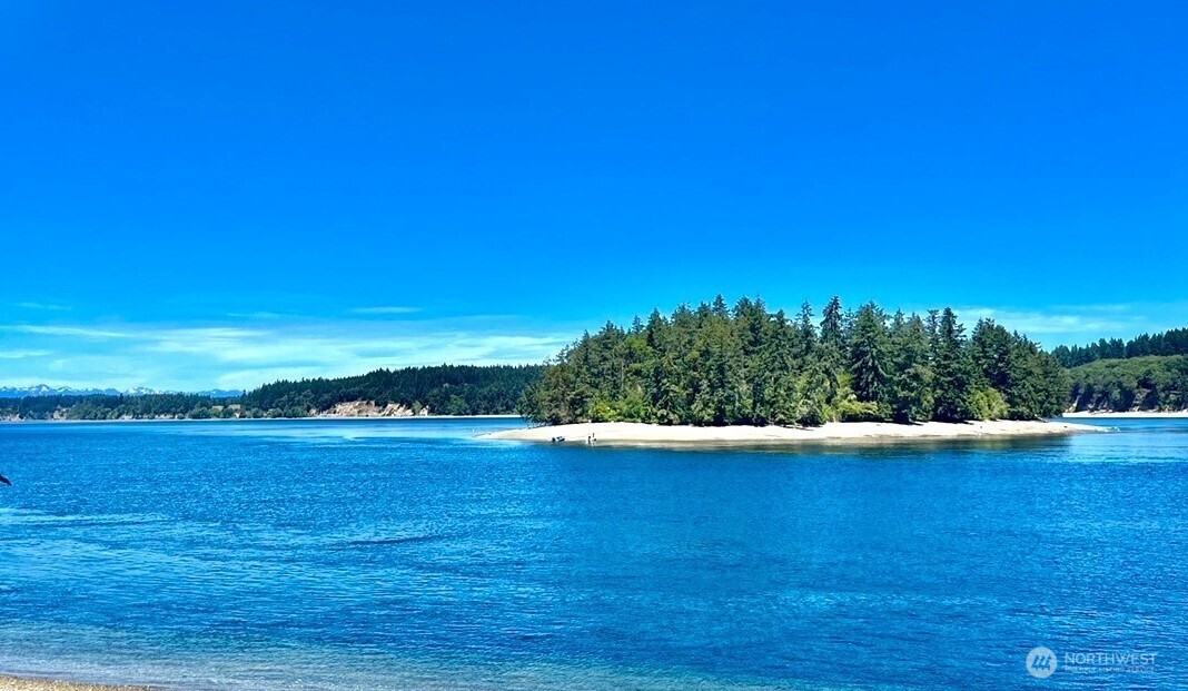 12514 93rd Street Ct , Anderson Island, WA 98303