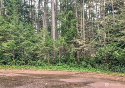 12514 93rd Street Ct , Anderson Island, WA 98303 - Photo 2