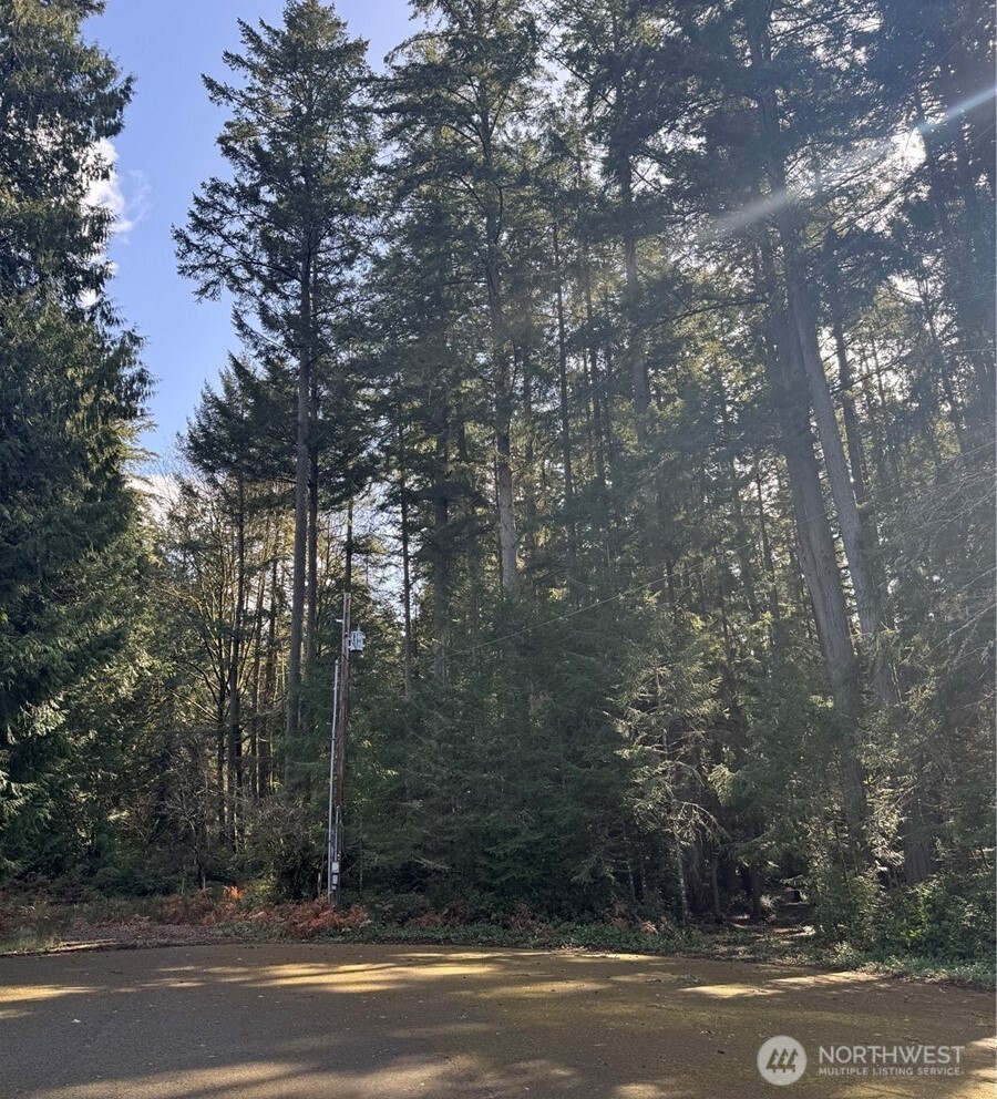 12514 93rd Street Ct , Anderson Island, WA 98303
