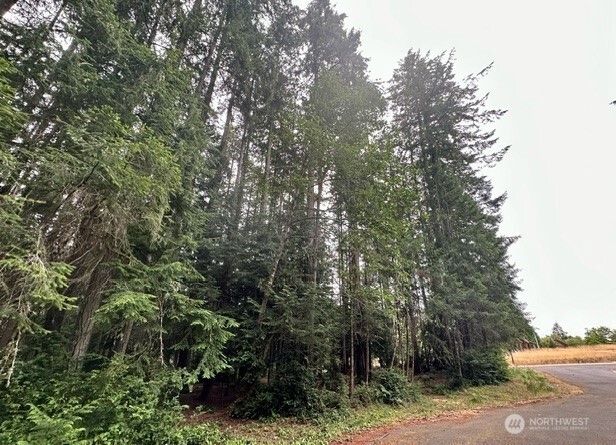 12514 93rd Street Ct , Anderson Island, WA 98303