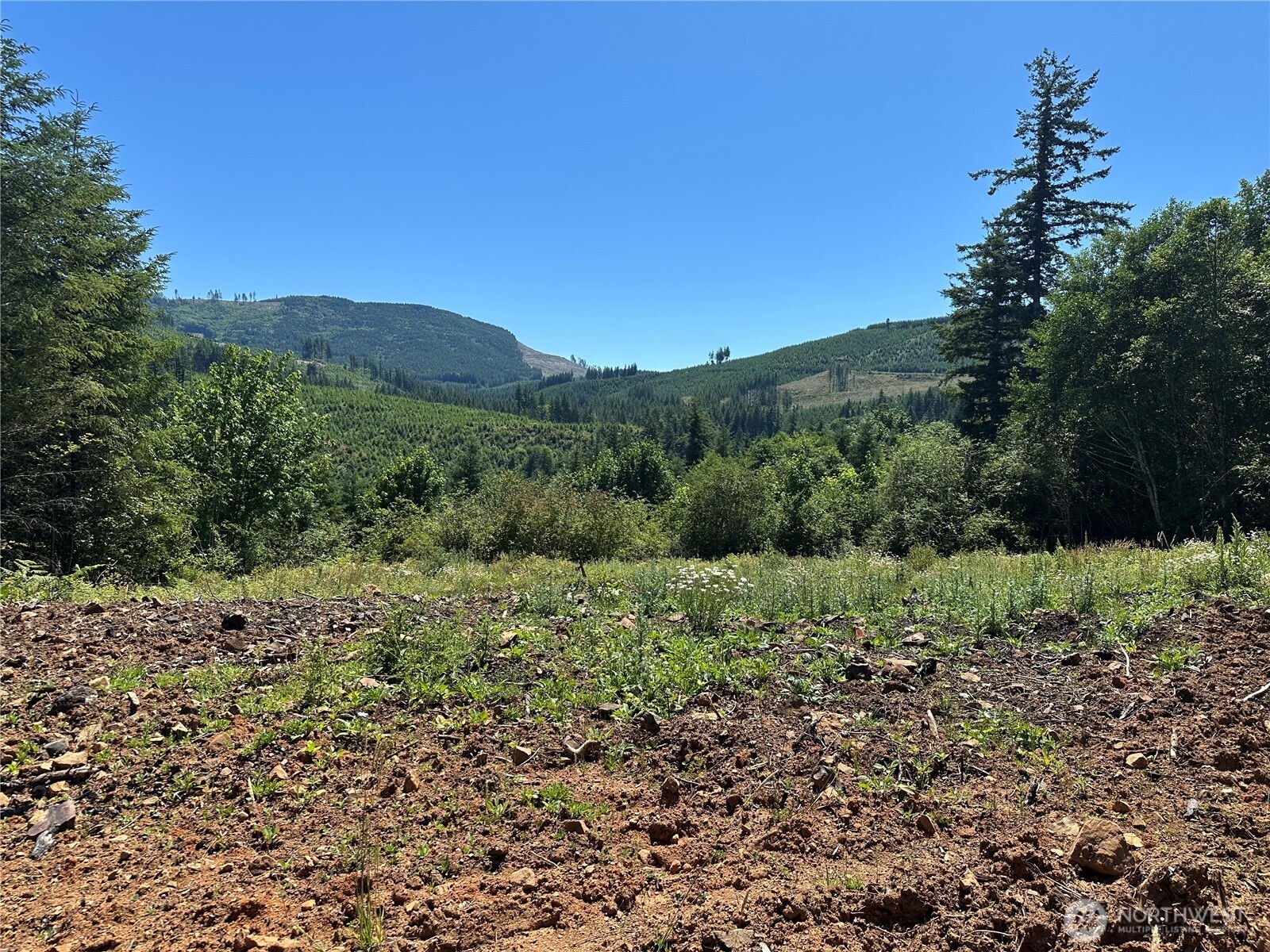 0 Kalama River Road , Kalama, WA 98625