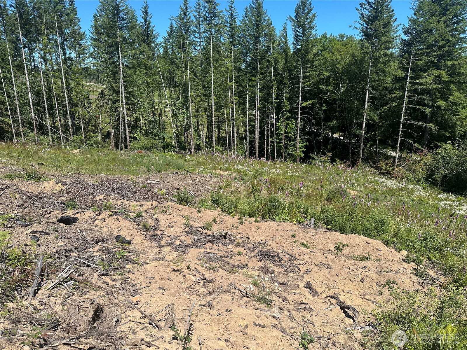 0 Kalama River Road , Kalama, WA 98625