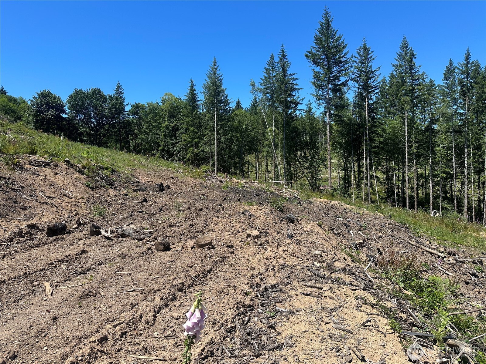 0 Kalama River Road , Kalama, WA 98625