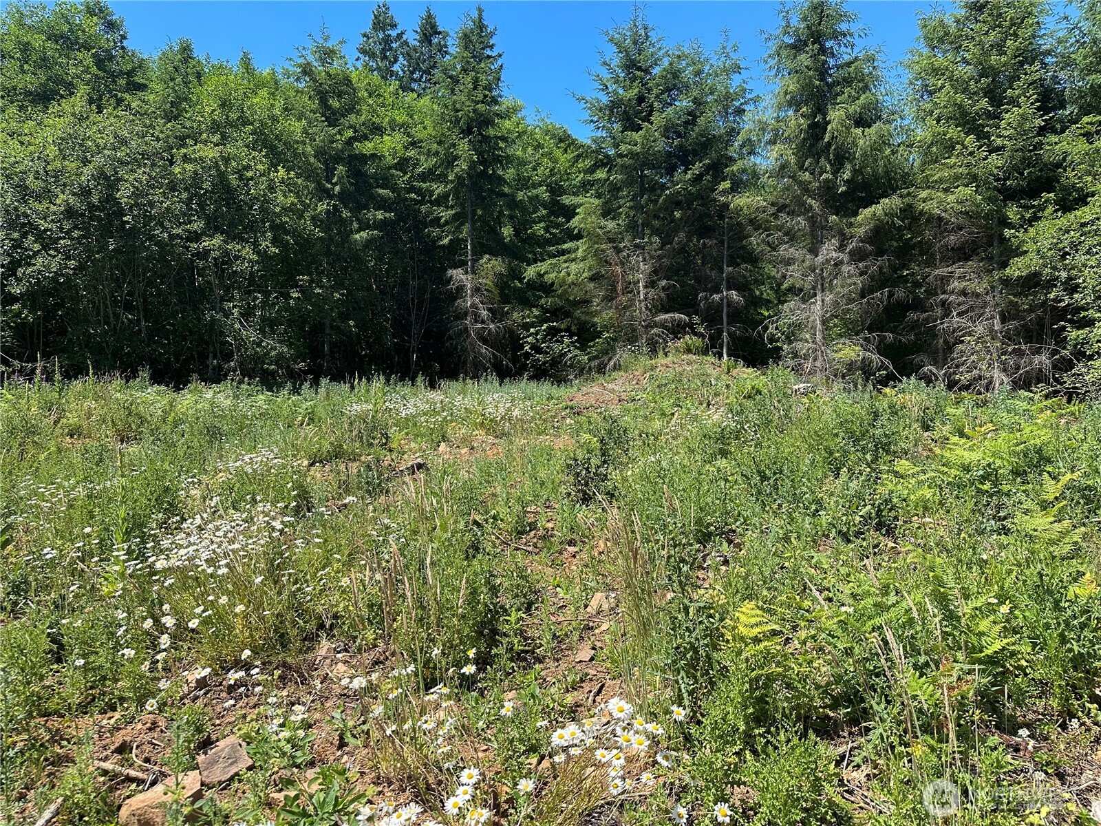 0 Kalama River Road , Kalama, WA 98625