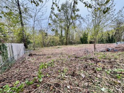 421 E 46th Street , Tacoma, WA 98404 - Photo 4