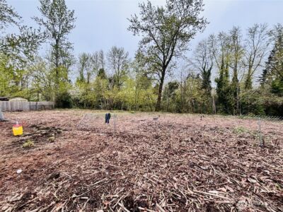 421 E 46th Street , Tacoma, WA 98404 - Photo 7