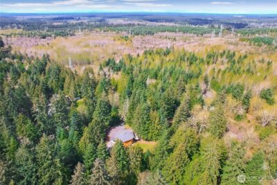 4601 292nd Street E, Graham, WA 98338 - Photo 35