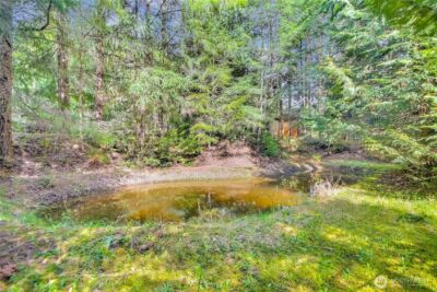 4601 292nd Street E, Graham, WA 98338 - Photo 37