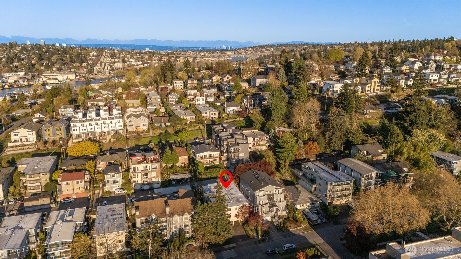 3626 14th Avenue W #203, Seattle, WA 98119