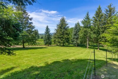 557 71 Mossyrock Avenue , Mossyrock, WA 98564 - Photo 36