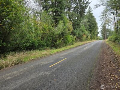 0 Lund Road , Cosmopolis, WA 98537 - Photo 2