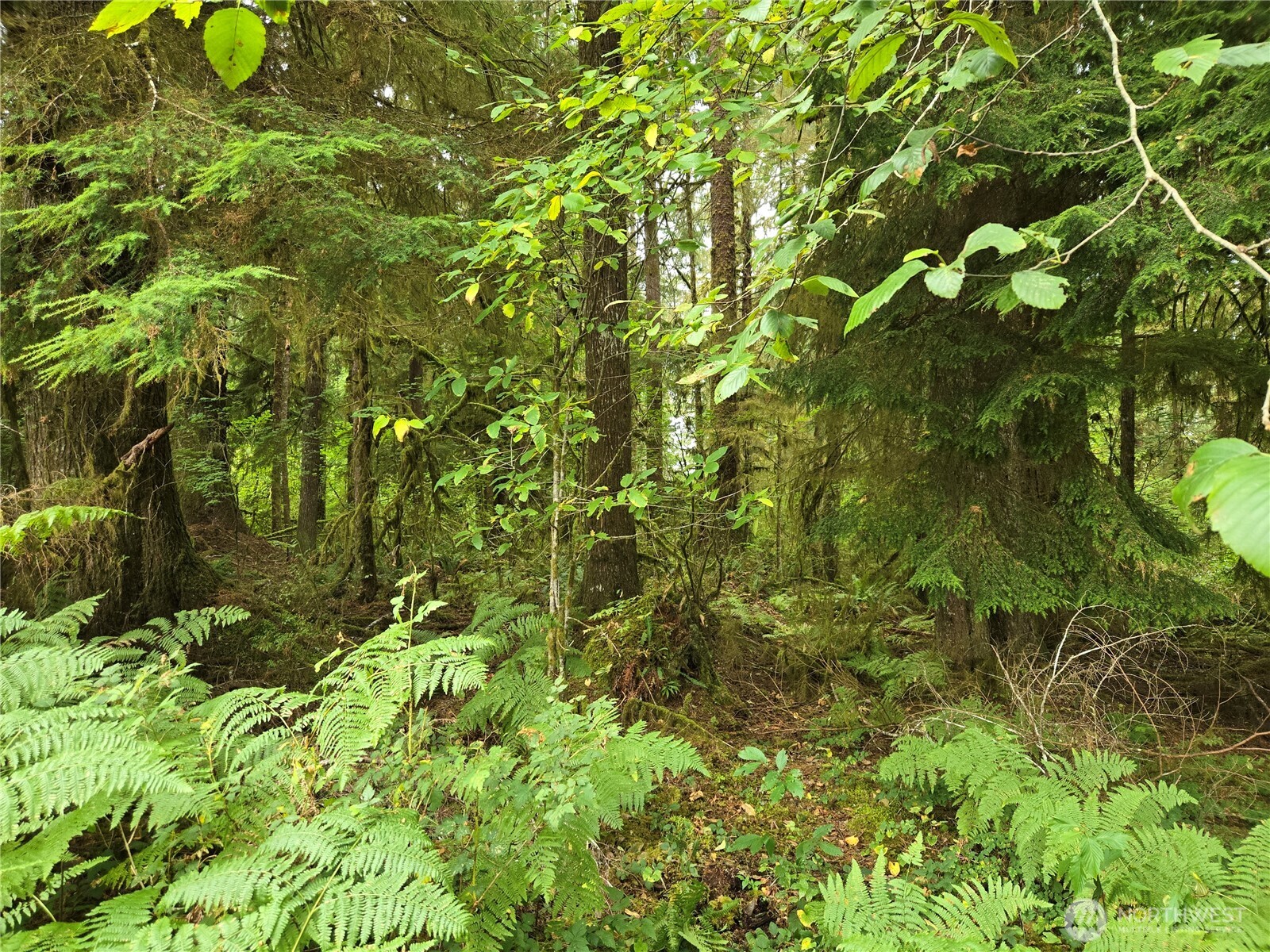 0 Lund Road , Cosmopolis, WA 98537