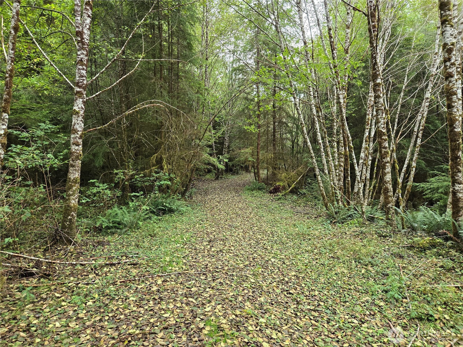 0 Lund Road , Cosmopolis, WA 98537