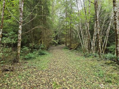 0 Lund Road , Cosmopolis, WA 98537 - Photo 6