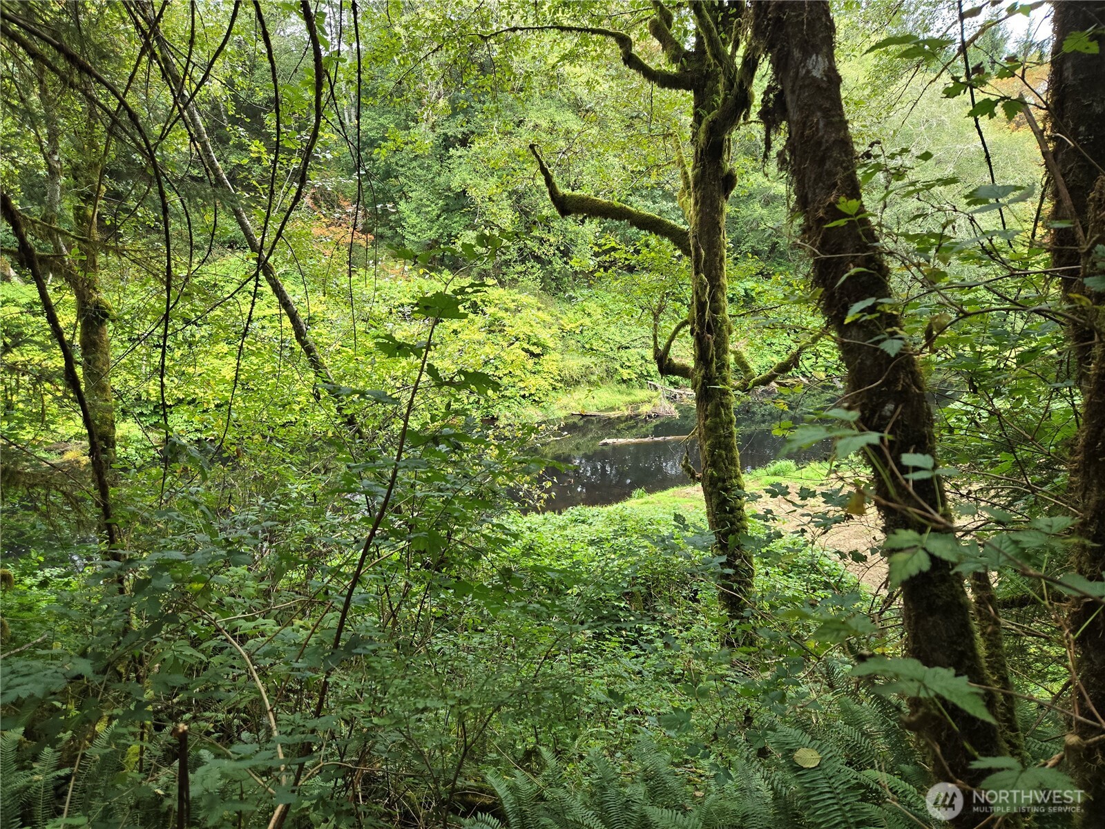 0 Lund Road , Cosmopolis, WA 98537