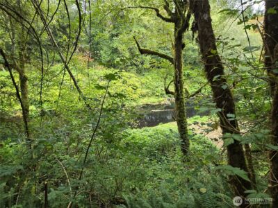 0 Lund Road , Cosmopolis, WA 98537 - Photo 7