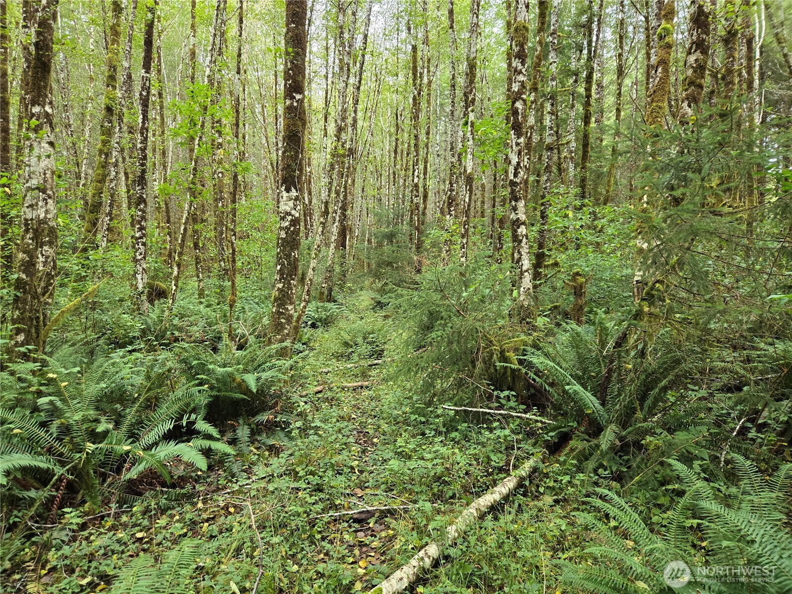 0 Lund Road , Cosmopolis, WA 98537