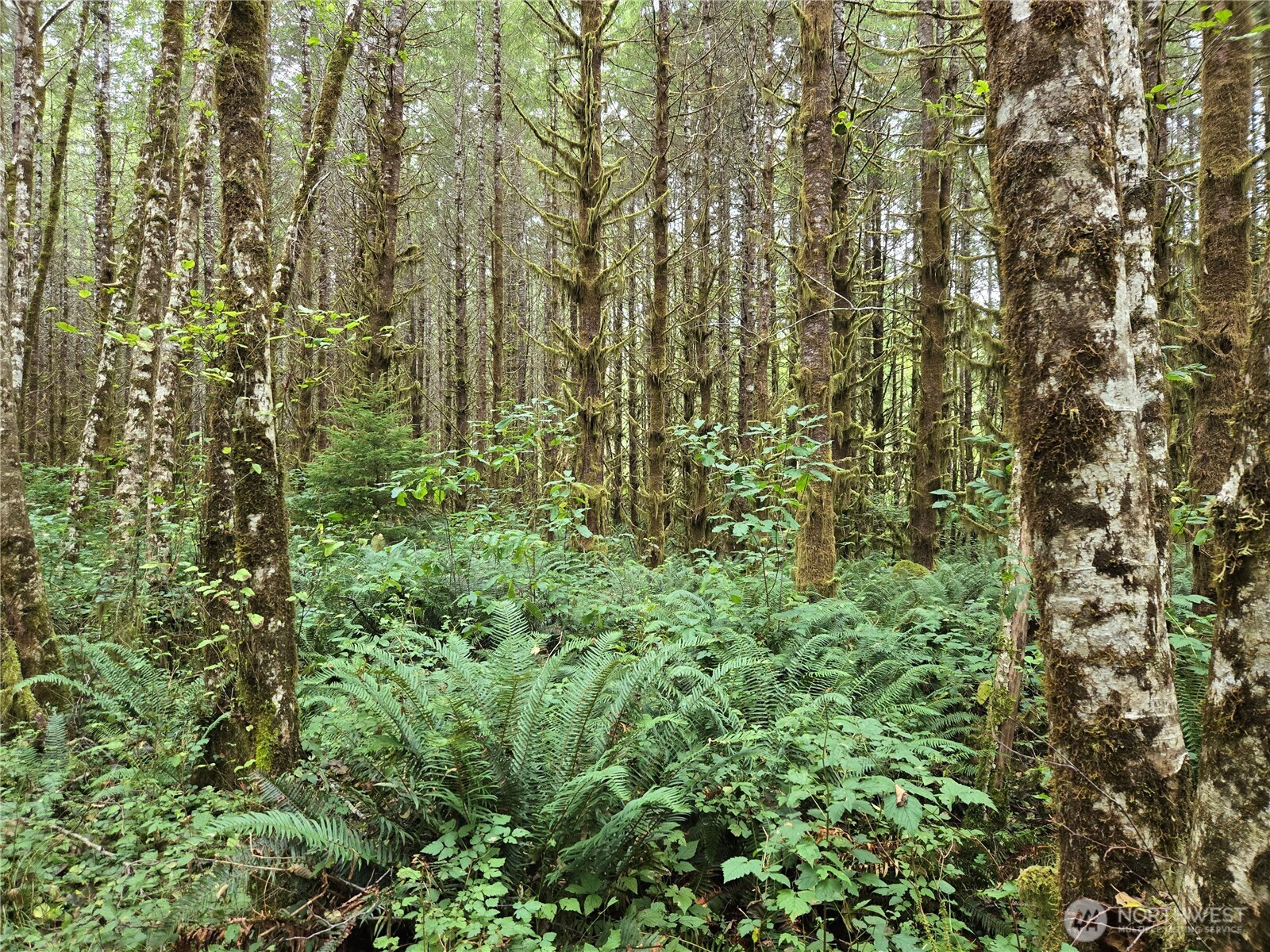 0 Lund Road , Cosmopolis, WA 98537