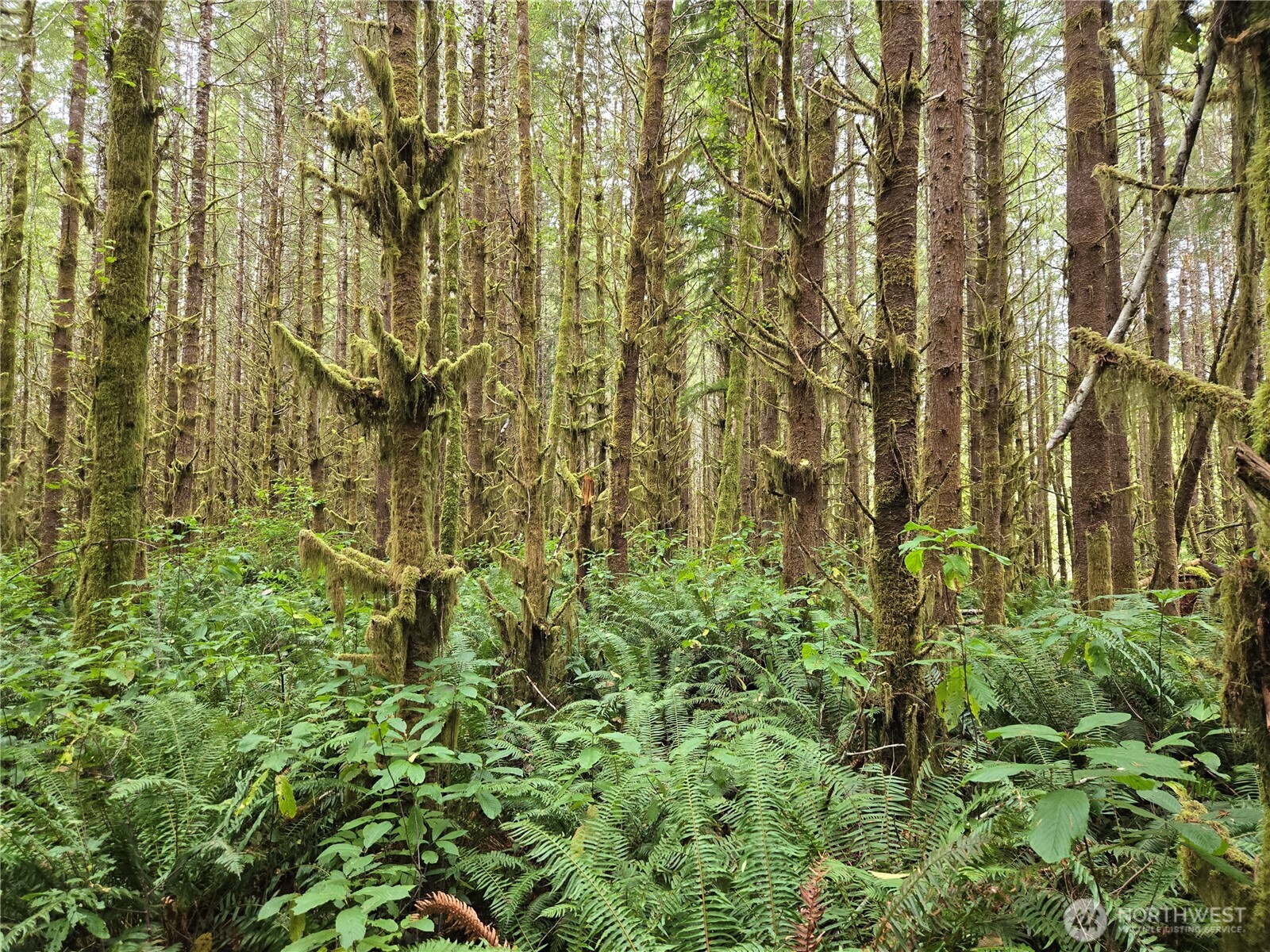 0 Lund Road , Cosmopolis, WA 98537